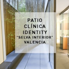 Patio de Clínica dental Identity, Valencia. 2013
