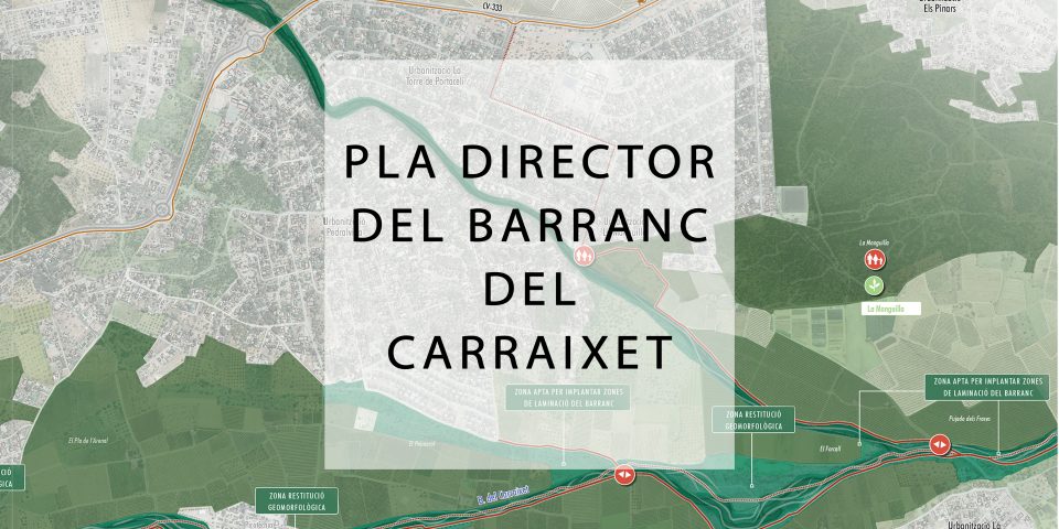 PLA DIRECTOR DEL BARRANC DEL CARRAIXET VALENCIA 2018_2020