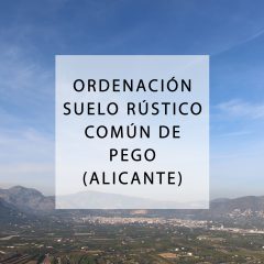 Ordenación del suelo rústico común del municipio de Pego (Alicante) 2019-2020